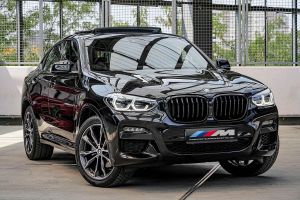 BMW X4 G02 [2018 - Prezent] xDrive20i AT M Sport 2021