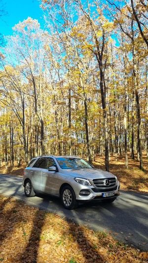 Mercedes-Benz GLE 350 d 4MATIC 2019
