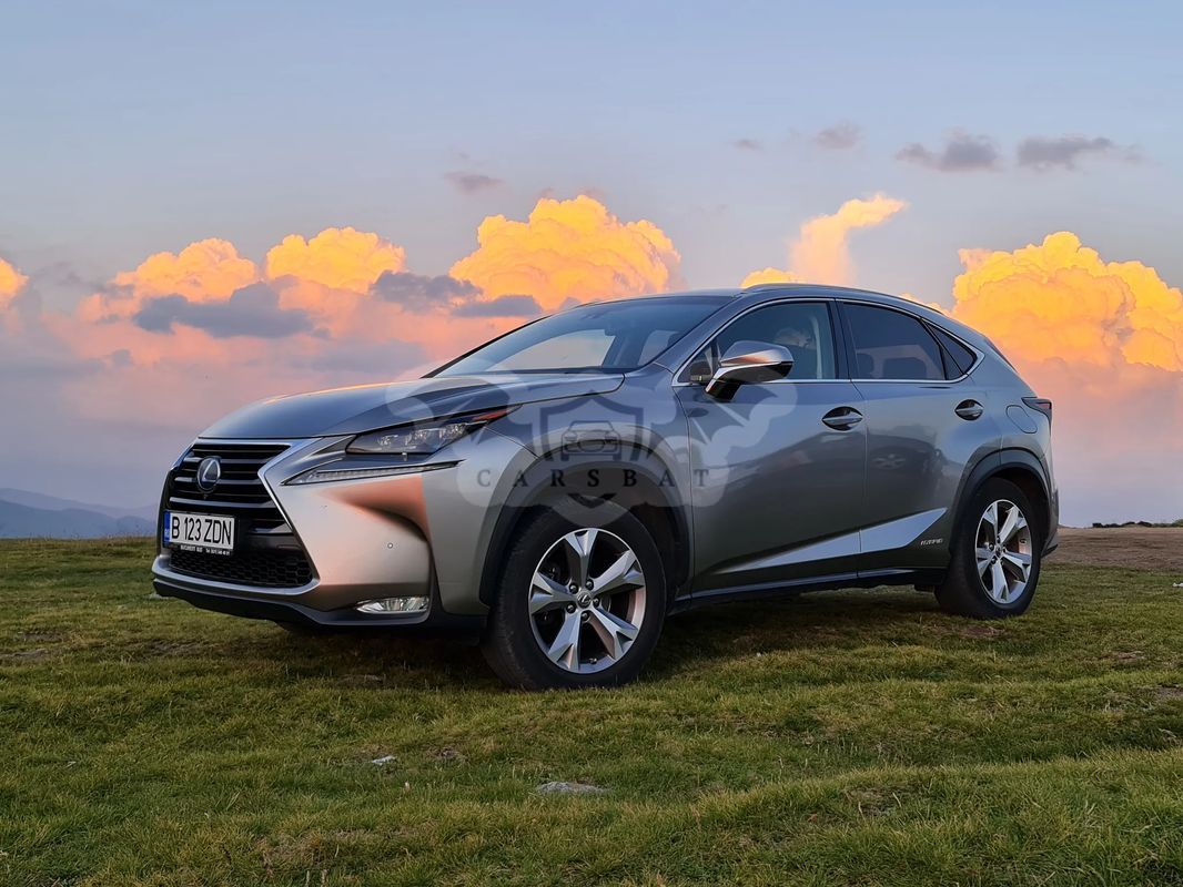 Lexus NX I [2014 - 2021] 300 AWD Luxury 2016