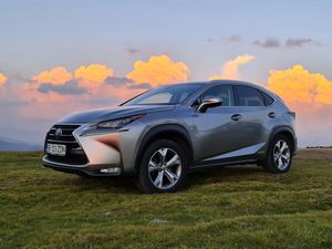Lexus NX I [2014 - 2021] 300 AWD Luxury 2016