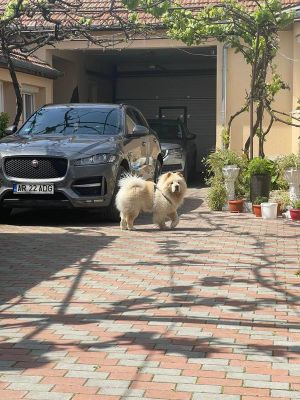 Jaguar F-Pace 2018