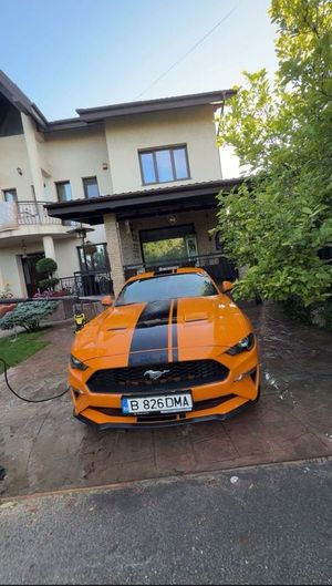 Ford Mustang VI [2015 - Prezent] 2019