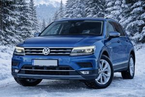 Volkswagen Tiguan II [2016 - Prezent] 2.0 TDI SCR 4MOTION DSG Highline 2019