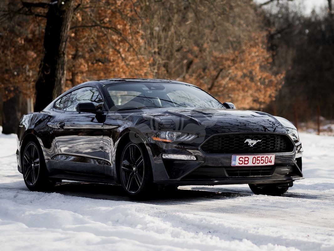 Ford Mustang VI [2015 - Prezent] 2.3 EcoBoost 2022