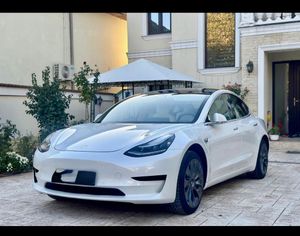 Tesla Model 3 Standard Reichweite Plus Hinterradantrieb 2020
