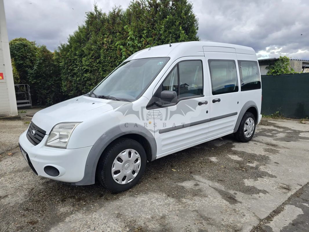 Ford Tourneo Connect 2010