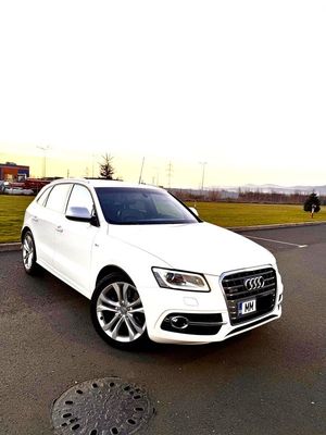 Audi SQ5 8R [2013 - 2017] 2016