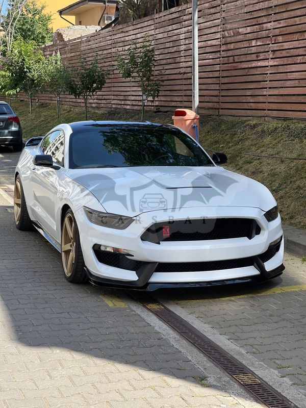Ford Mustang VI [2015 - Prezent] 2.3 Eco Boost Aut. 2016