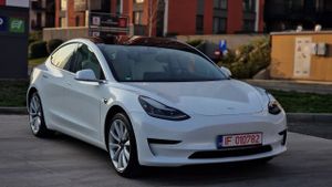 Tesla Model 3 Standard Reichweite Plus Hinterradantrieb 2019