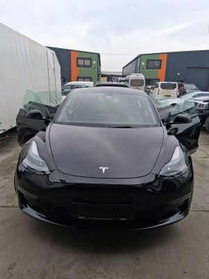 Tesla Model 3 Performance 2022