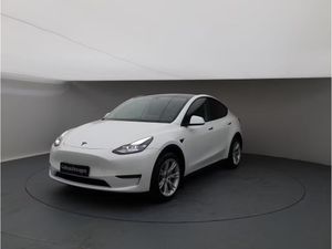 Tesla Model Y AWD Performance 2022