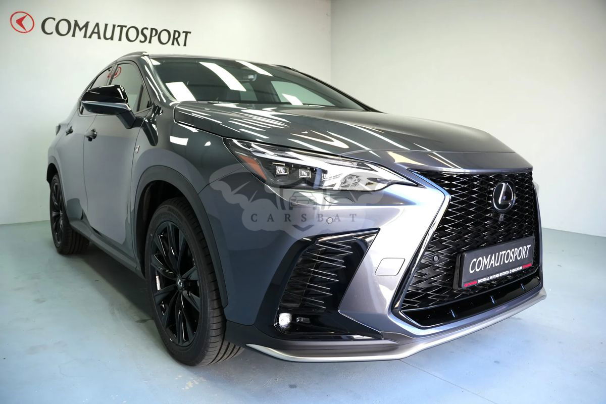 Lexus NX II [2021 - Prezent] 2024