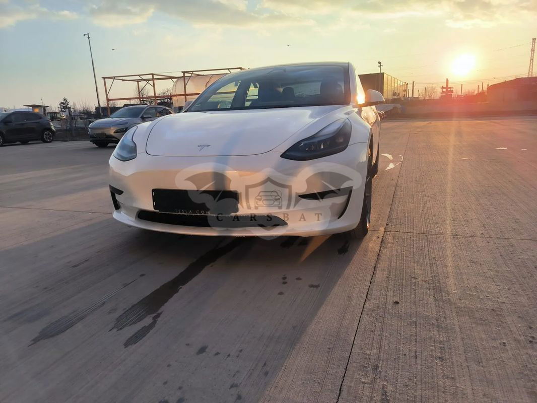 Tesla Model 3 Standard Reichweite Plus Hinterradantrieb 2021