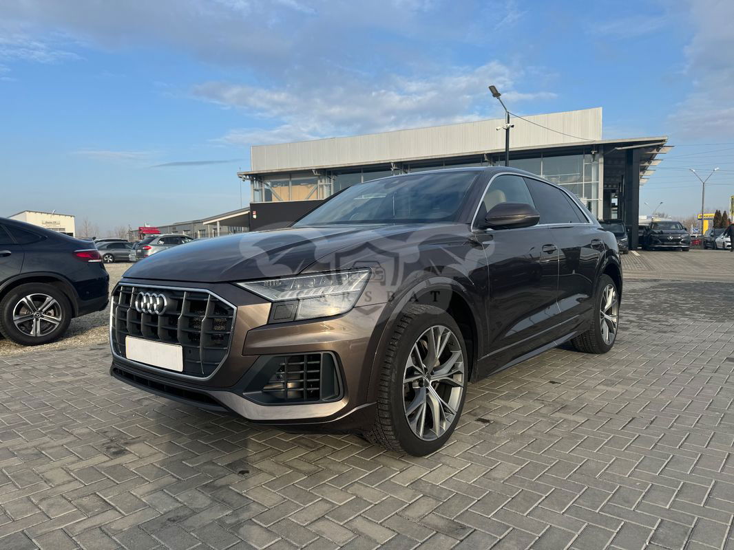 Audi Q8 3.0 50 TDI quattro Tiptronic MHEV 2019