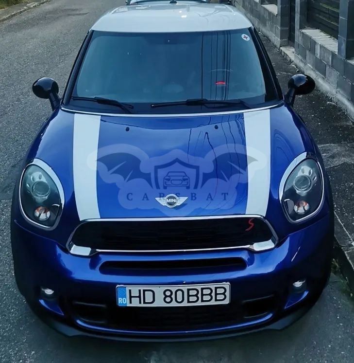 Mini Paceman 2013