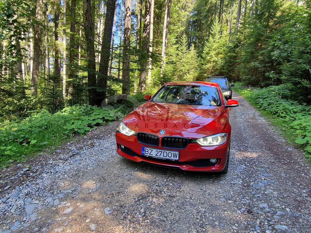 BMW 3 Series F30/F31/F34 [2011 - 2019] 2013