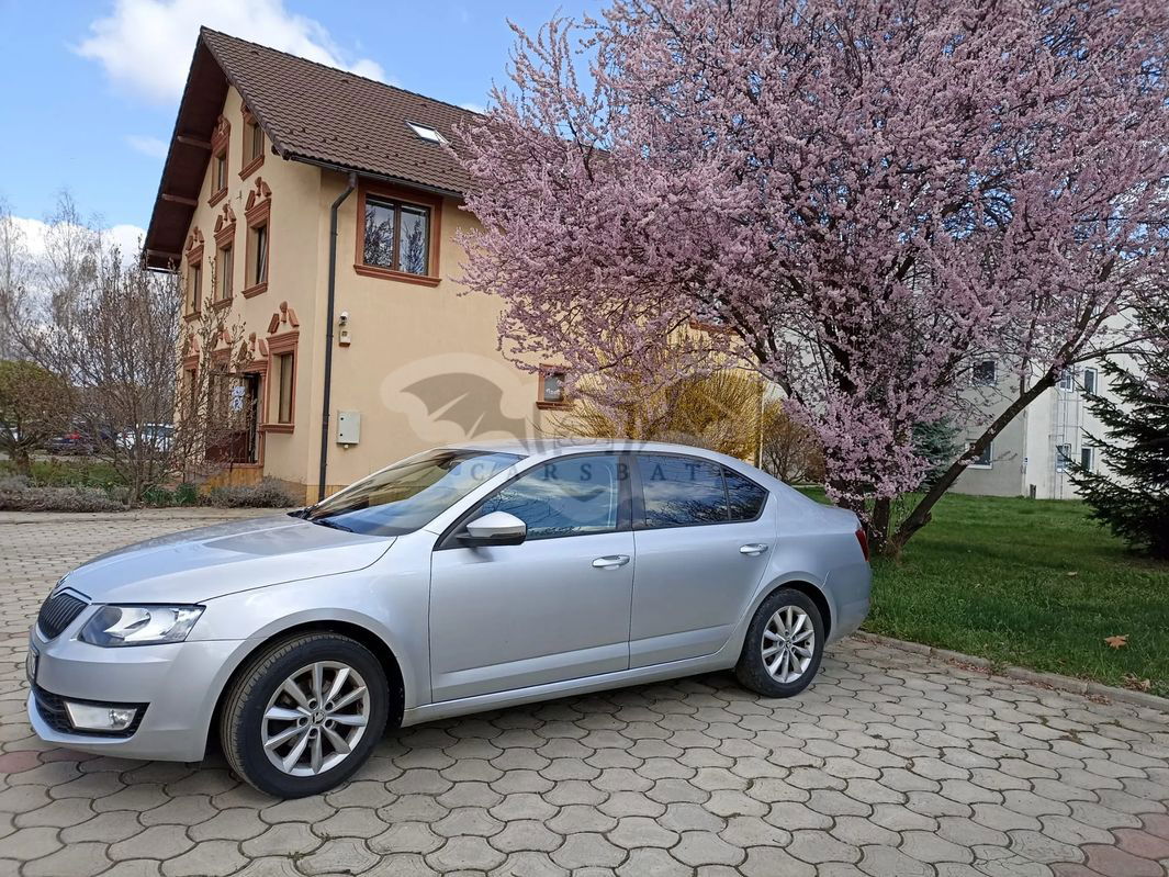 Skoda Octavia III [2013 - 2019] 2014