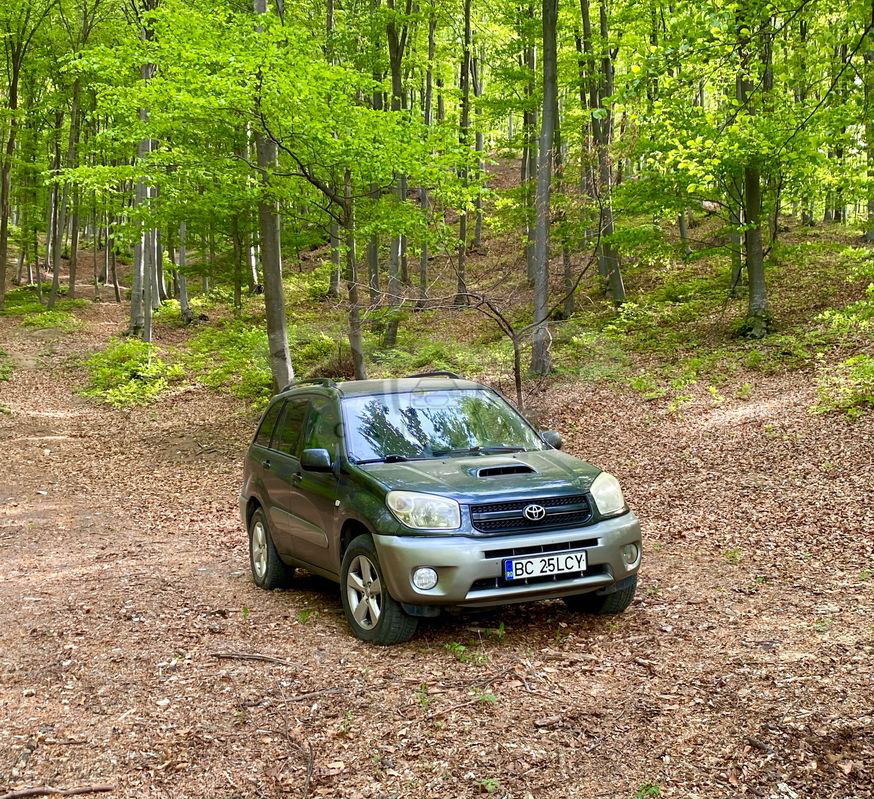 Toyota Rav4 II [2000 - 2006] 2.0 D-4D Confort 2004
