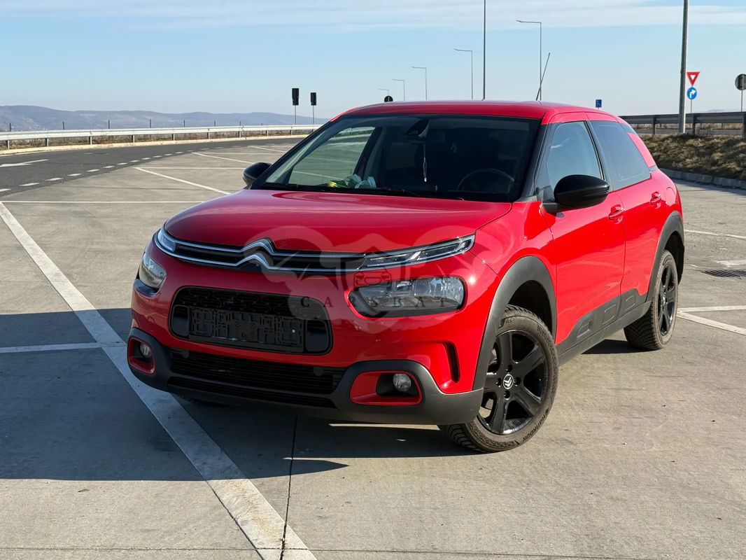 Citroën C4 Cactus BlueHDi BVM Start&Stop Shine 2019
