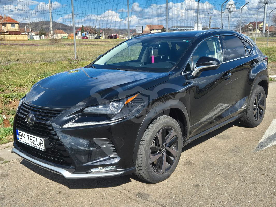 Lexus NX 300h AWD Luxury 2021