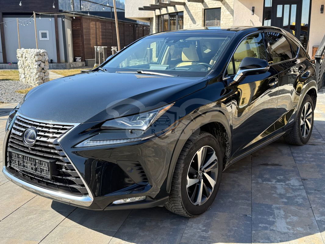 Lexus NX I [2014 - 2021] 300h Luxury 2019