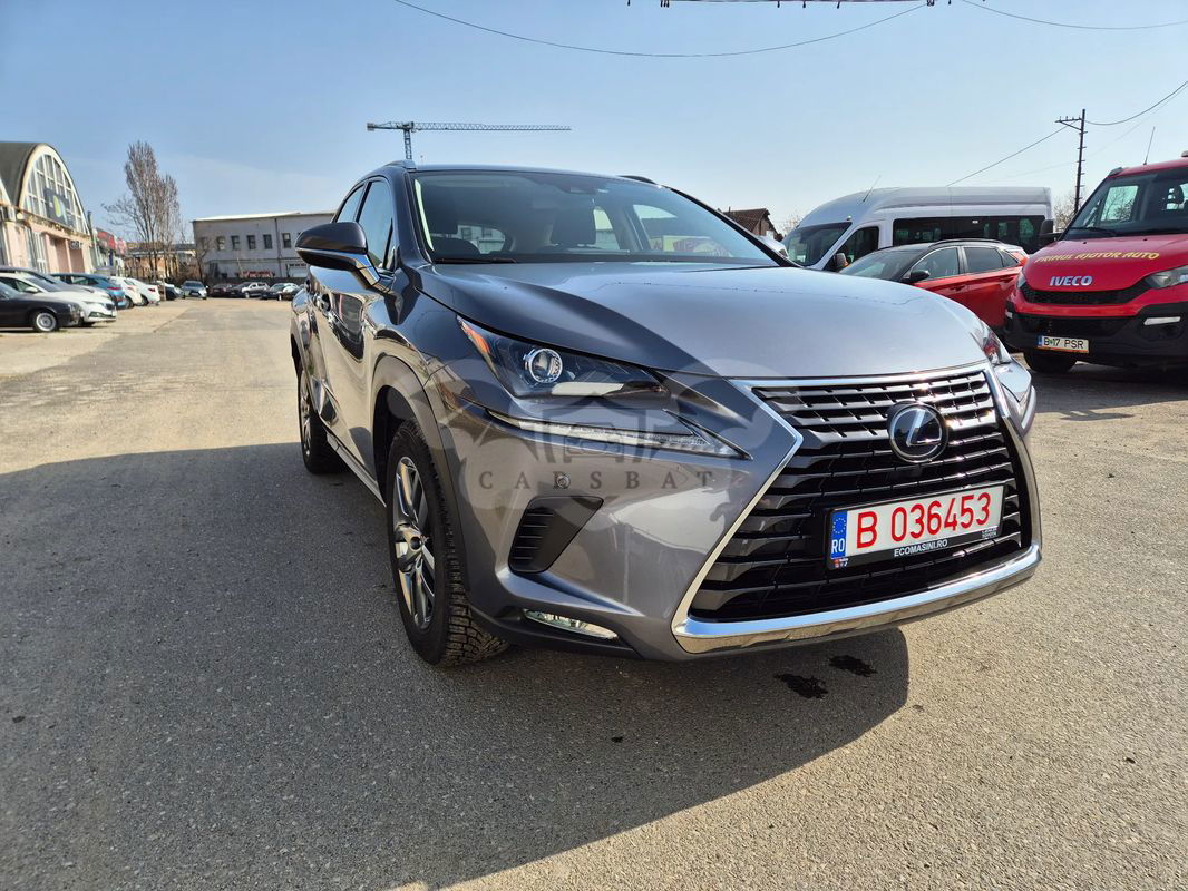Lexus NX 300h AWD Business 2020