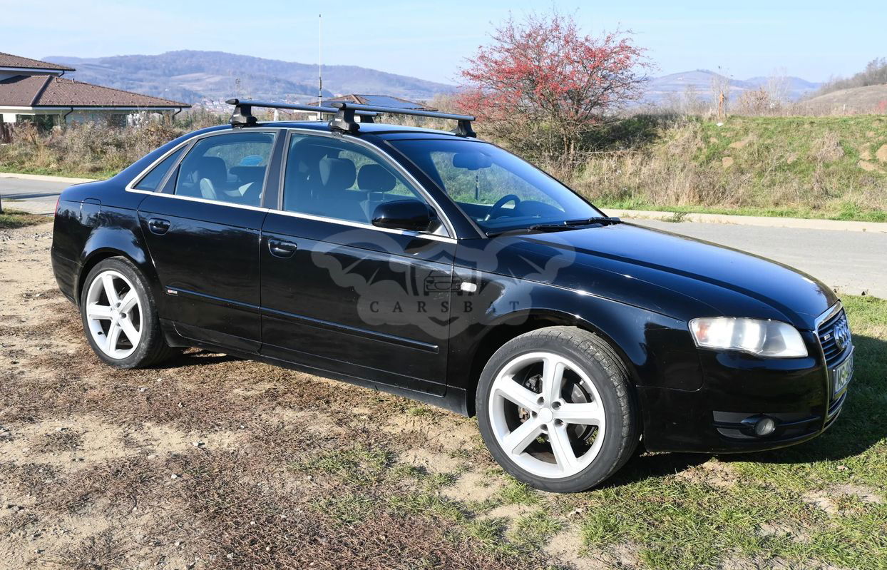 Audi A4 B7 [2004 - 2008] 1.9 TDI 2005