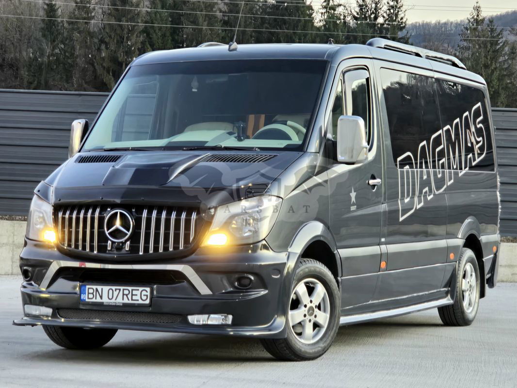Mercedes-Benz Sprinter 316 CDI (BlueTec) 906.235 BlueEFFICIENCY 2013