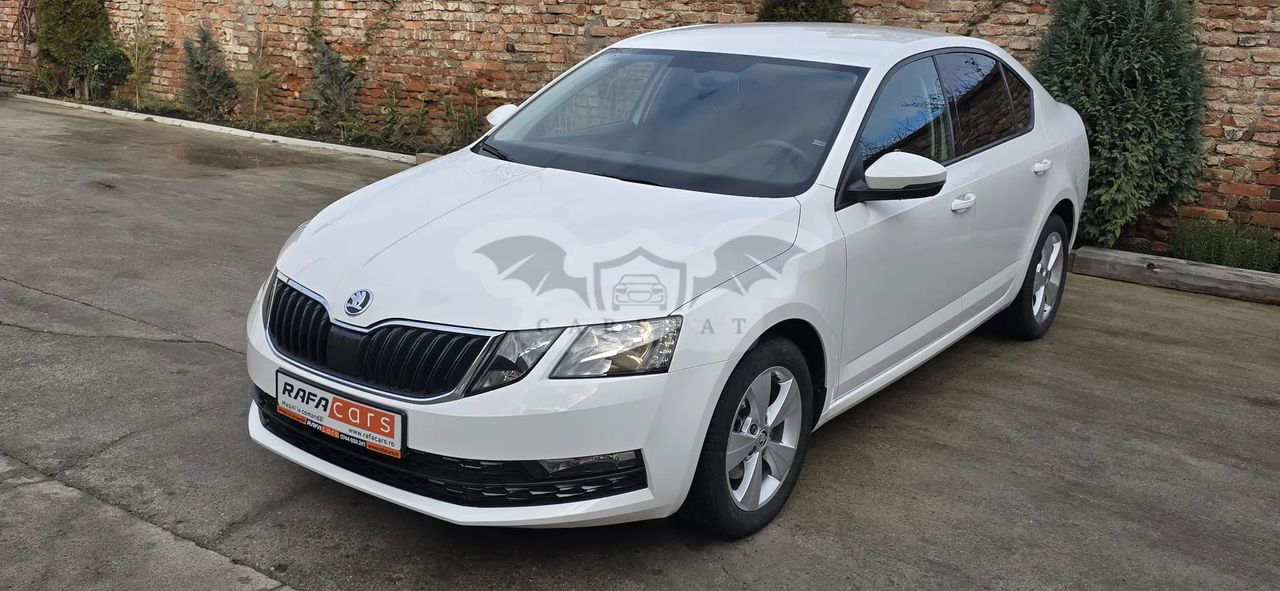 Skoda Octavia III [2013 - 2019] 2019