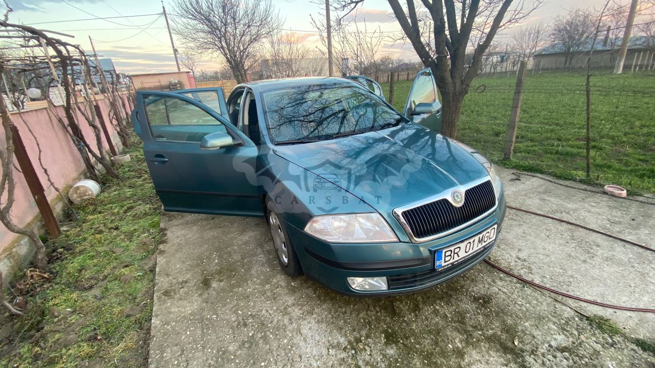 Skoda Octavia II [2004 - 2013] 2.0 TDI Ambiente 2007
