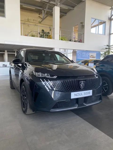 Peugeot 3008 II [2016 - Prezent] 2024