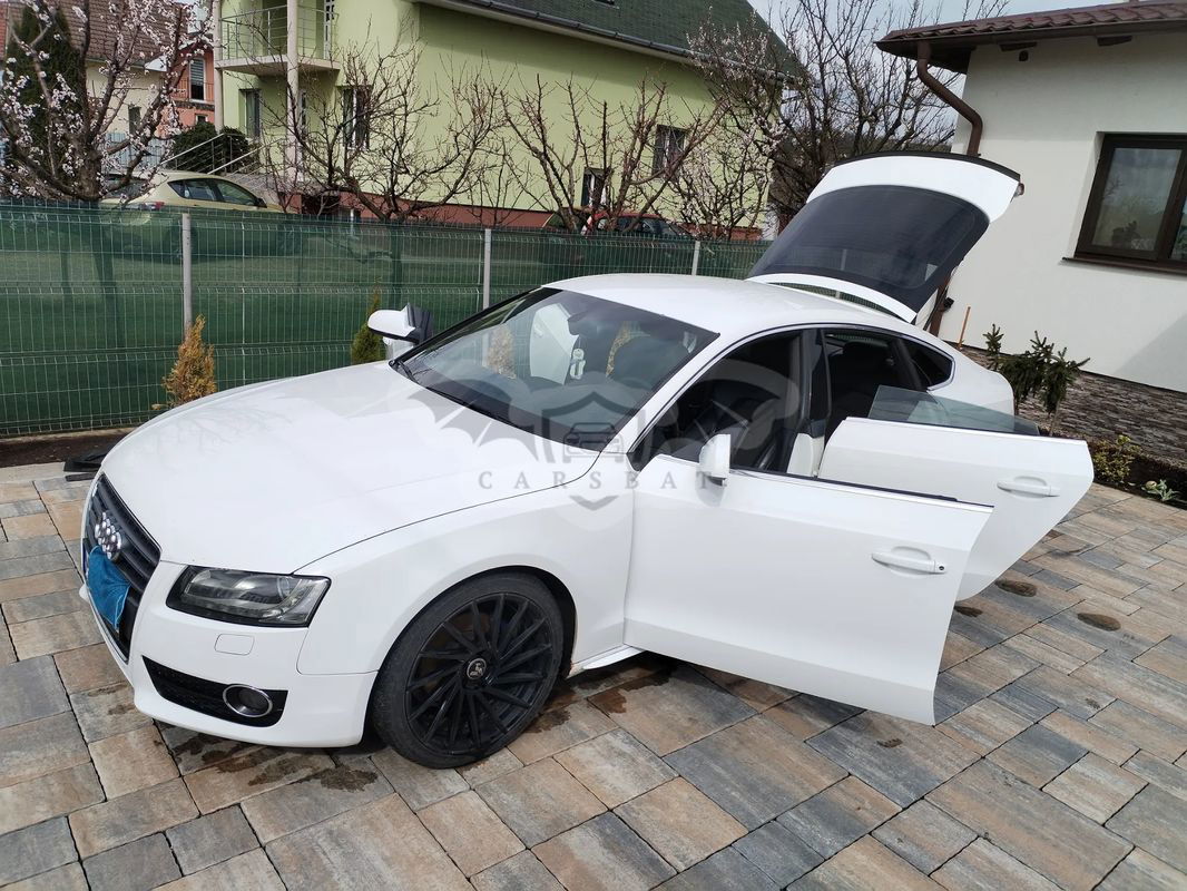 Audi A5 8T [2007- 2016] 2.0 TDI Sportback DPF multitronic 2009
