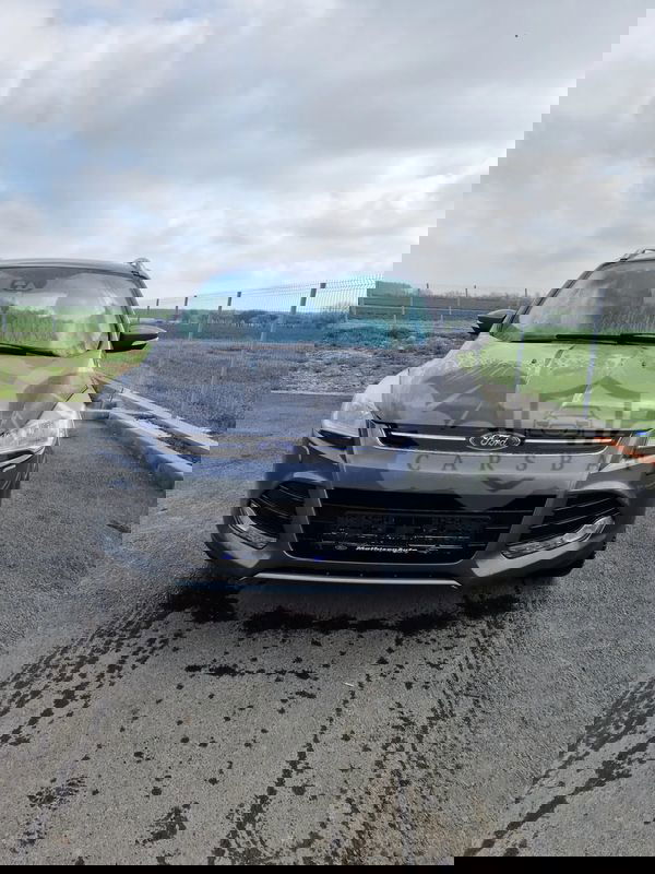 Ford Kuga II [2012 - 2019] 2.0 TDCi 4x4 Titanium 2013