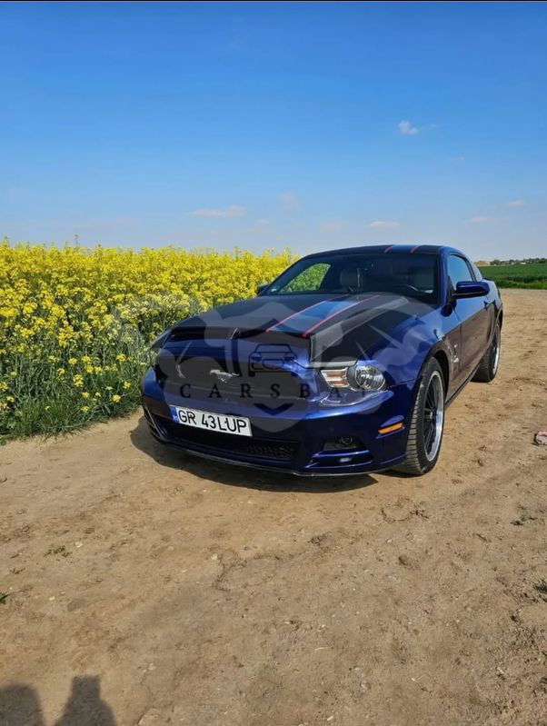 Ford Mustang V [2005 - 2014] 2014