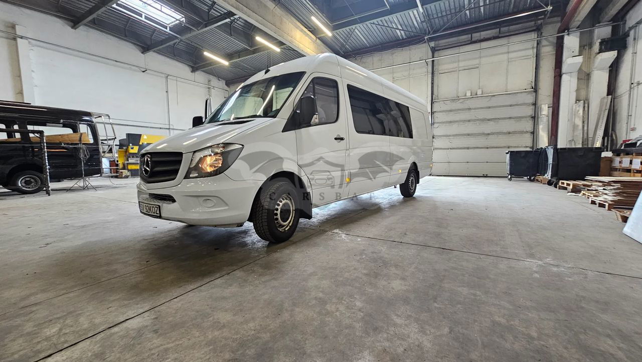 Mercedes-Benz Sprinter 316 CDI (BlueTec) 906.233 2017