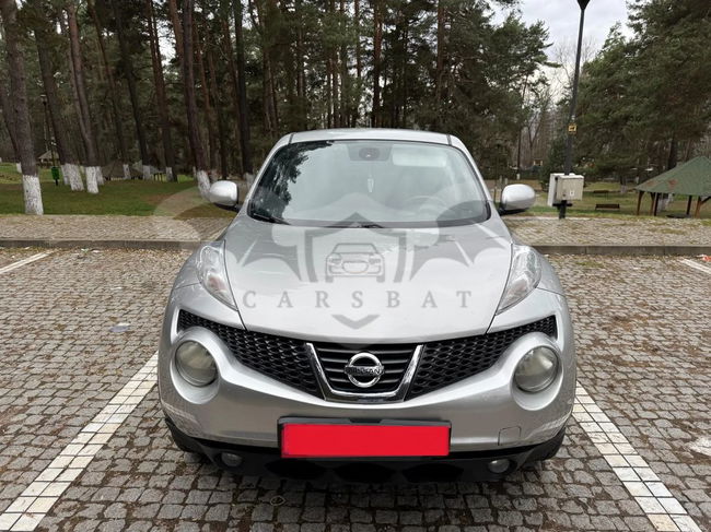 Nissan Juke I [2010 - 2019] 2011