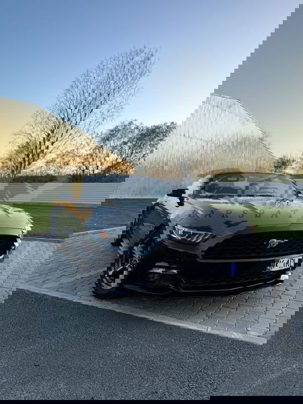 Ford Mustang VI [2015 - Prezent] 2015