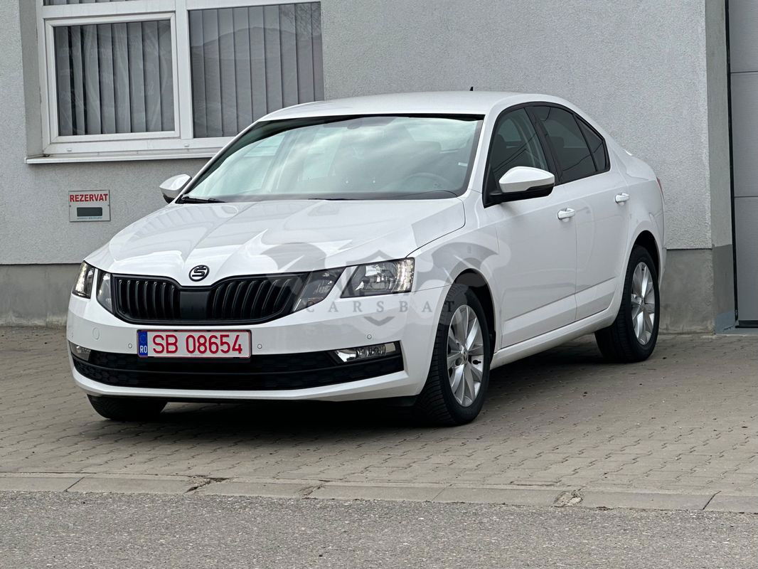 Skoda Octavia III [2013 - 2019] 2019