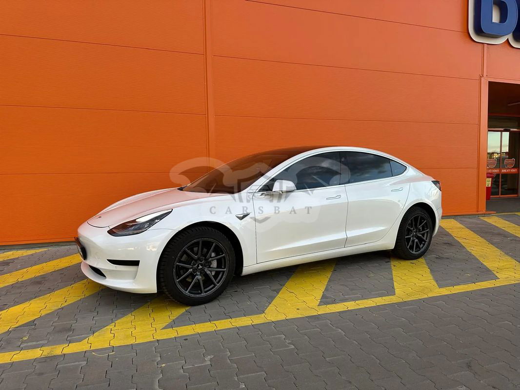 Tesla Model 3 Standard Reichweite Plus Hinterradantrieb 2019