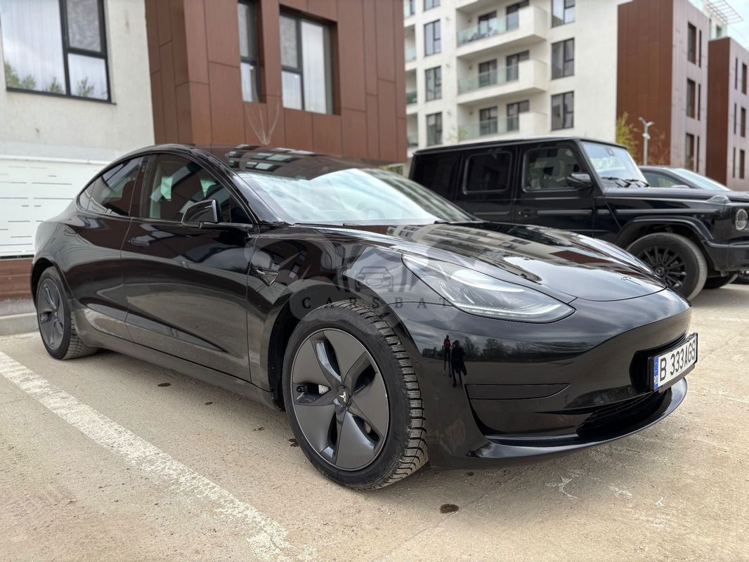 Tesla Model 3 Standard Reichweite Plus Hinterradantrieb 2019