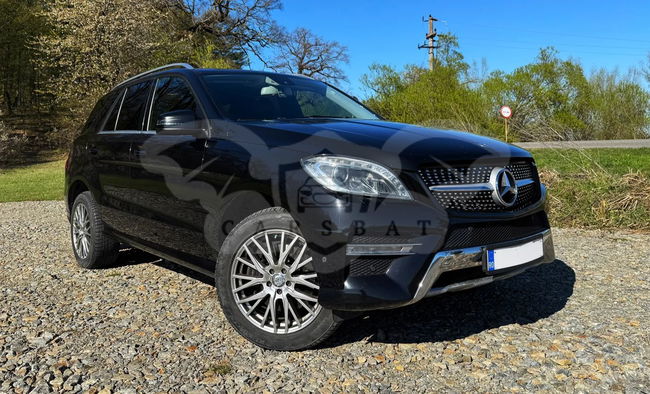 Mercedes-Benz ML W166 [2011 - 2015] 250 BlueTec 4MATIC Aut 2014