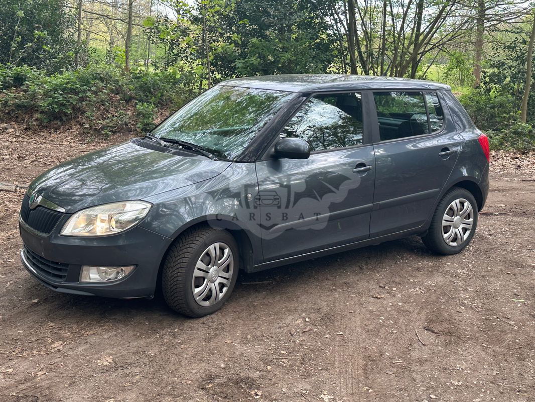 Skoda Fabia II [2007 - 2014] 1.2 TDI DPF GreenLine 2011