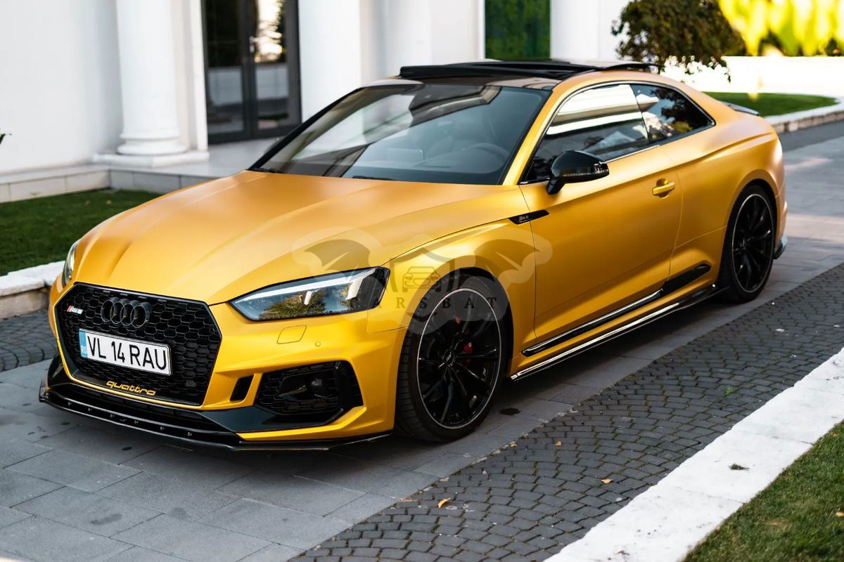 Audi RS5 F5 [2017 - Prezent] Coupe 2.9 TFSI quattro tiptronic 2018