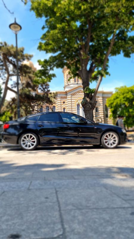 Audi A5 8T [2007- 2016] 3.0 TDI Sportback quattro DPF S tronic 2013