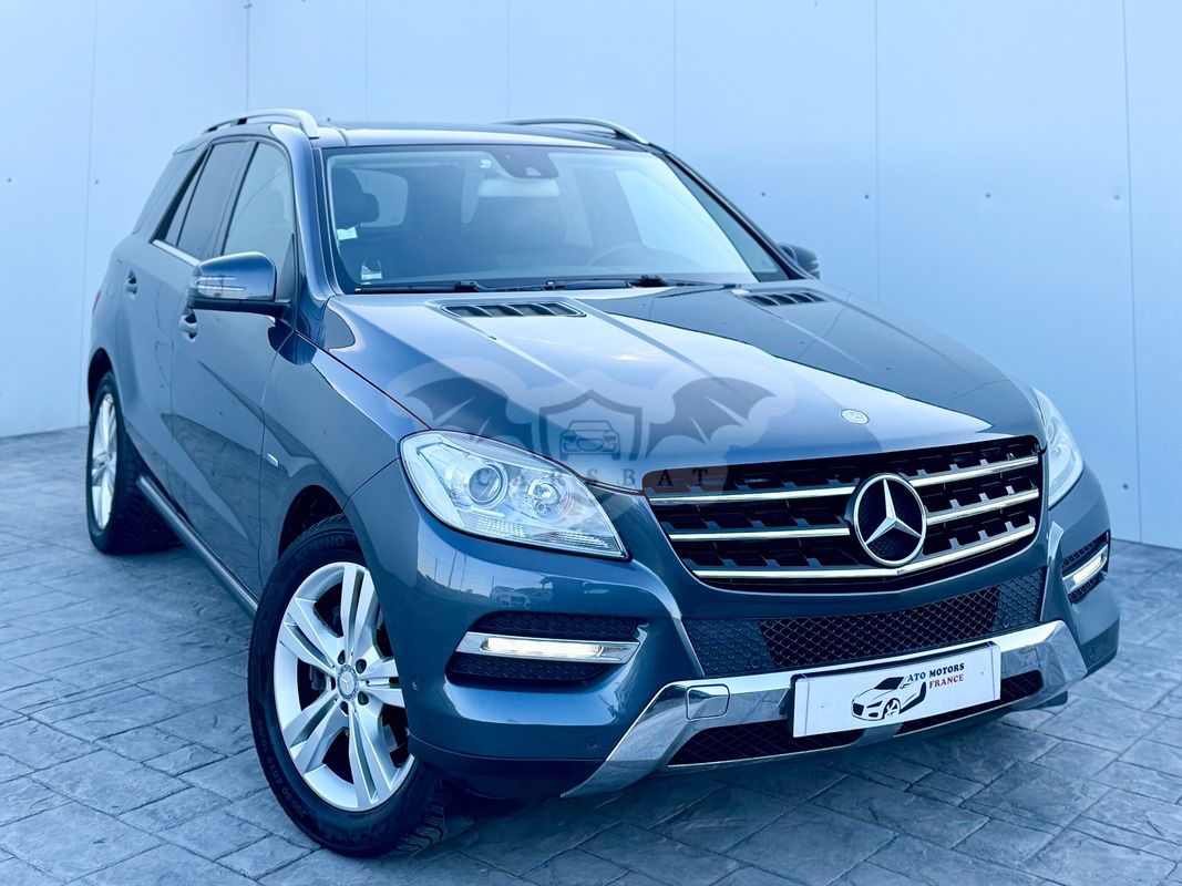 Mercedes-Benz ML W166 [2011 - 2015] 250 BlueTec 4MATIC Aut 2013