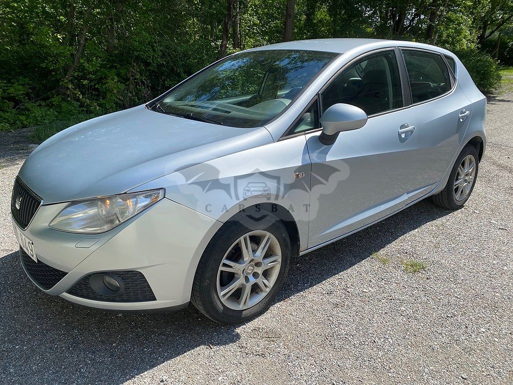 Seat Ibiza 2010