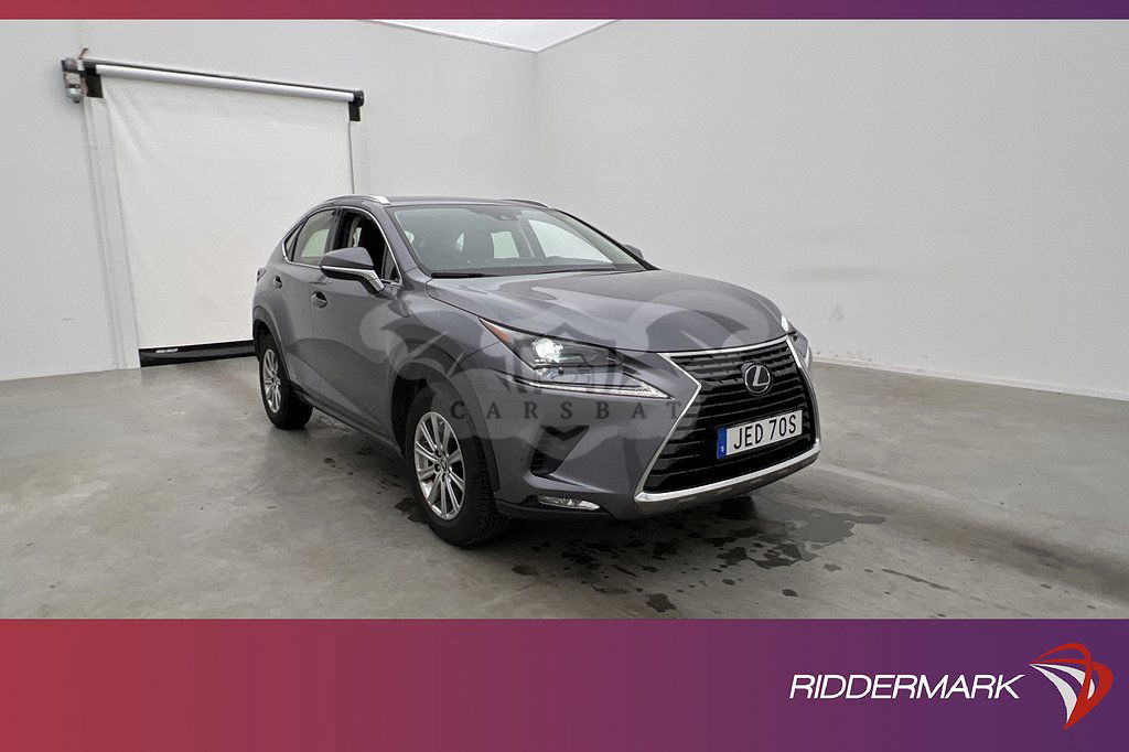 Lexus NX 2020