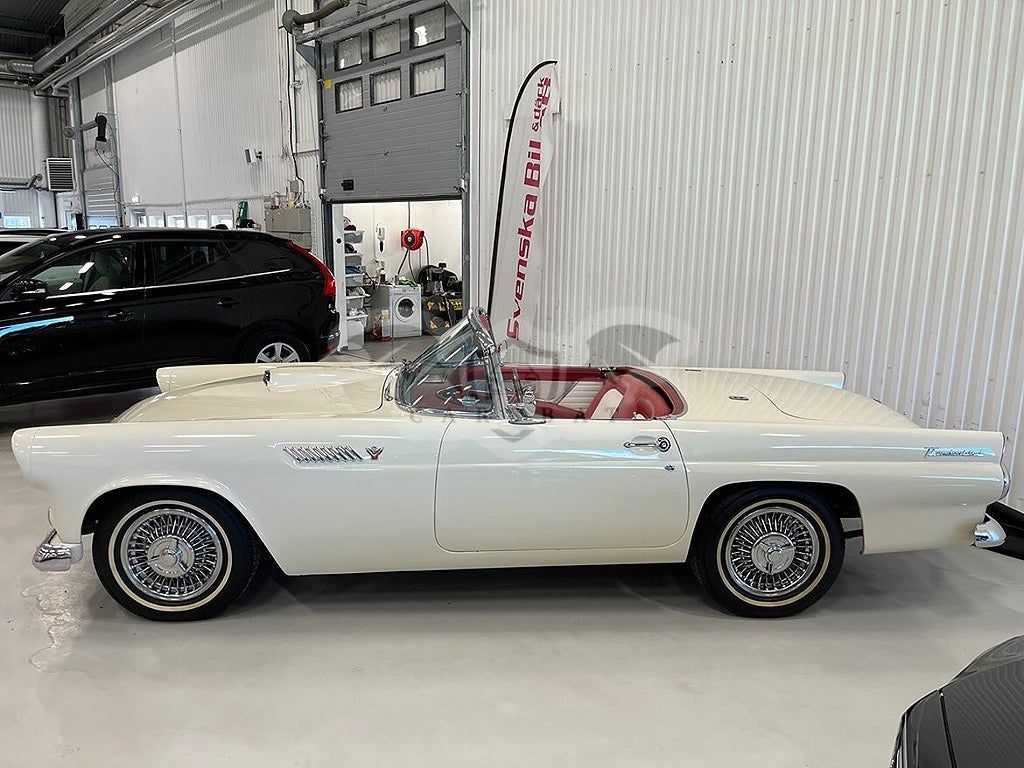 Ford Thunderbird 1955
