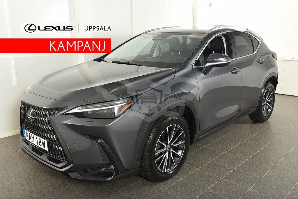 Lexus NX 2023