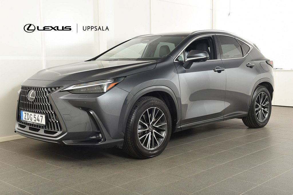 Lexus NX 2023